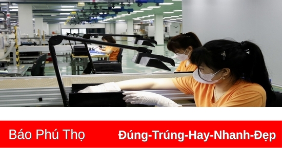 Doanh nghiệp FDI nộp thuế 229 tỷ đồng trong 6 tháng đầu năm