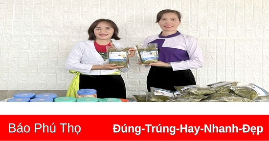 Phát triển nông nghiệp hàng hóa