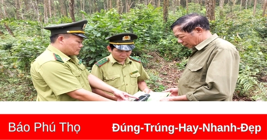 Phát triển rừng bền vững