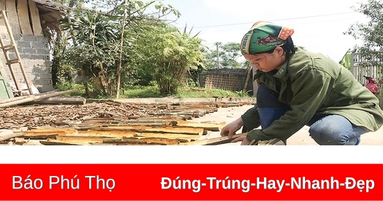 Phú Thọ đầu tư gần 20 tỷ đồng bảo hộ sở hữu trí tuệ cho các sản phẩm đặc trưng của tỉnh