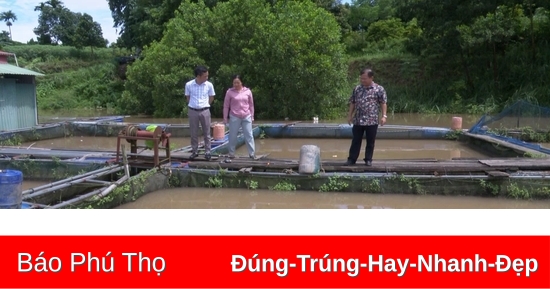 Thanh Thuy erlitt durch die Öffnung des dritten Überlauftors des Hoa Binh-Wasserkraftreservoirs einen Verlust von 1 Milliarde VND.