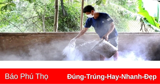 Thực hiện các biện pháp phòng, chống dịch tả lợn Châu Phi