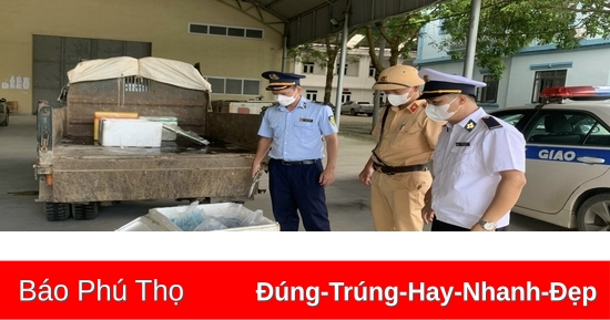 Xử phạt 2 chủ phương tiện vận chuyển nội tạng động vật không rõ nguồn gốc