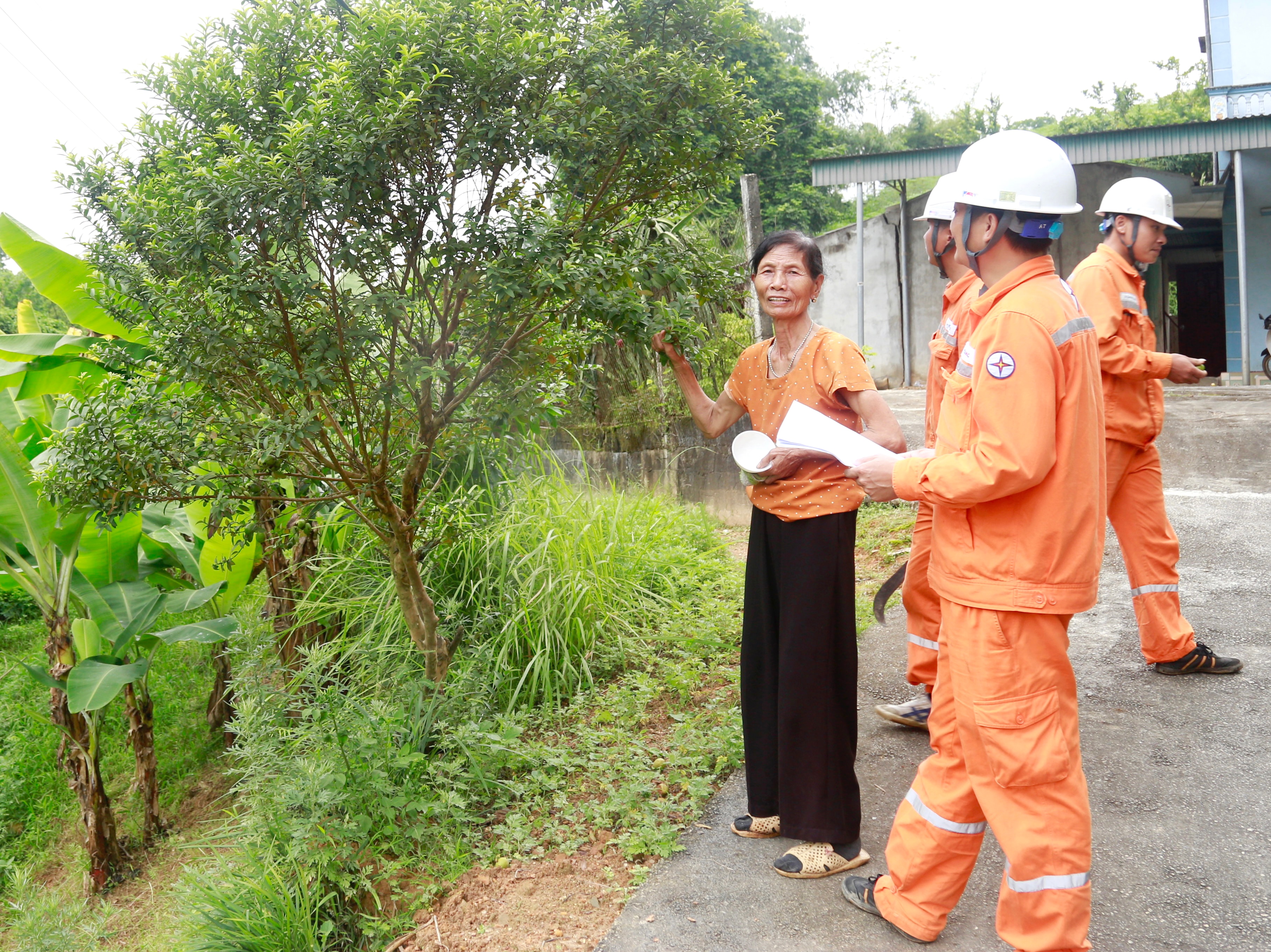 Điện lực Thanh Ba đảm bảo an toàn lưới điện mùa mưa bão