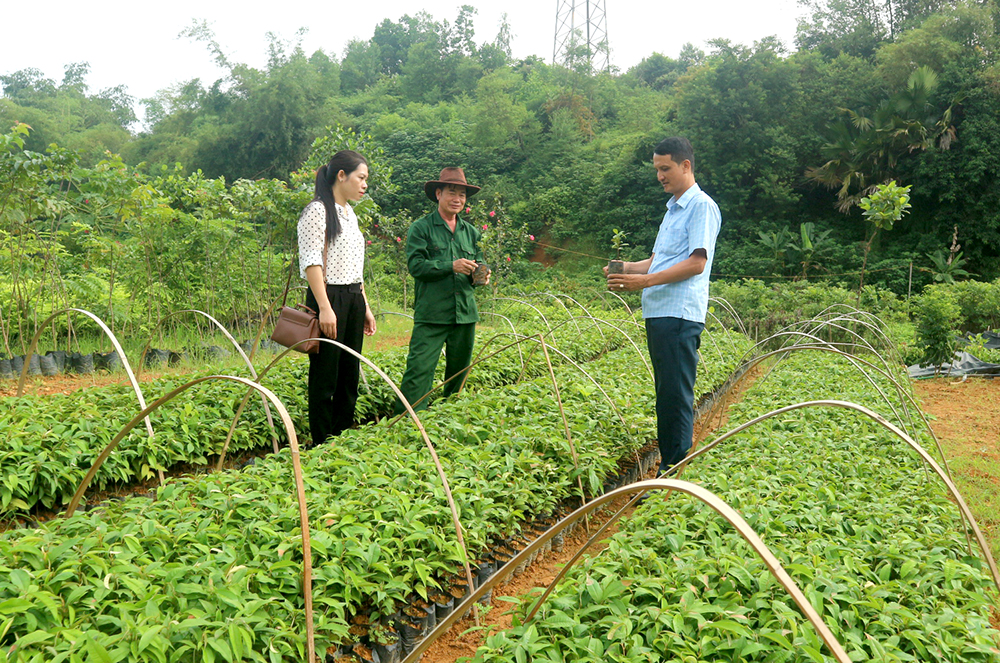 Đa dạng nguồn vốn cho nông dân