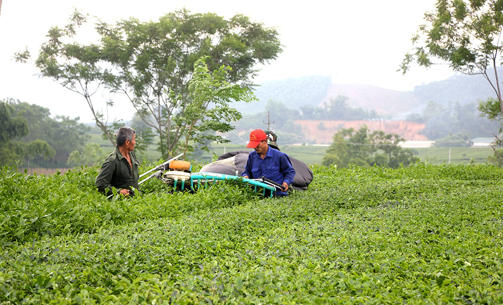 Nỗ lực xây dựng nông thôn mới nâng cao