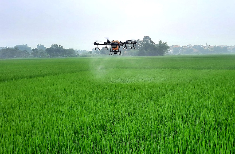 Hacia una agricultura verde y sostenible