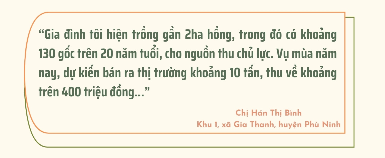 Hồng Gia Thanh vào vụ