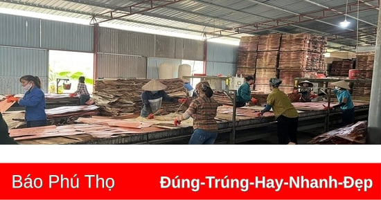 2 xã “chuyên” gỗ thuộc huyện Hạ Hòa sắp thành lập Cụm công nghiệp Ấm Hạ