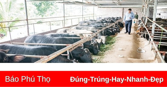 Bằng Giã tạo sức bật từ giảm nghèo bền vững