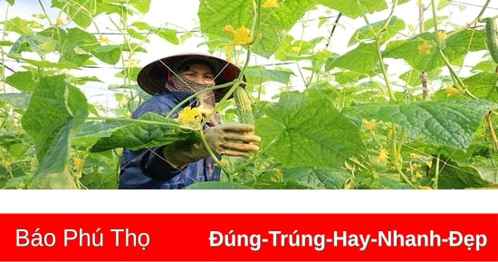 Cải thiện cuộc sống người dân