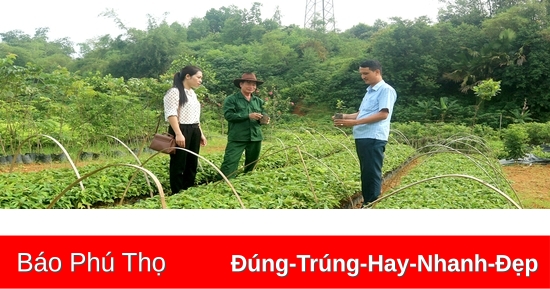 Đa dạng nguồn vốn cho nông dân