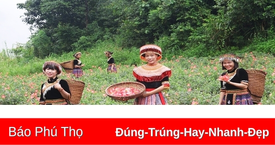 Đầu tư cơ sở hạ tầng thiết yếu vùng DTTS và miền núi