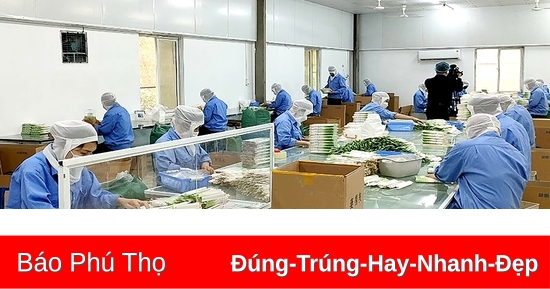 Duy trì việc làm ổn định cho người lao động