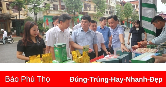 Giới thiệu, trưng bày, kết nối tiêu thụ sản phẩm OCOP, nông sản tiêu biểu