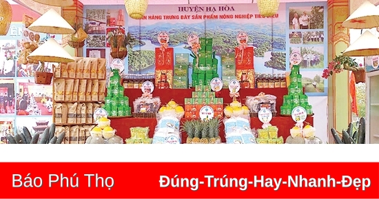 Hạ Hòa nâng tầm giá trị nông sản địa phương