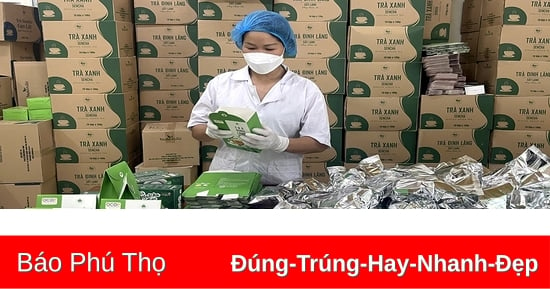 Hỗ trợ đưa sản phẩm lên sàn thương mại điện tử