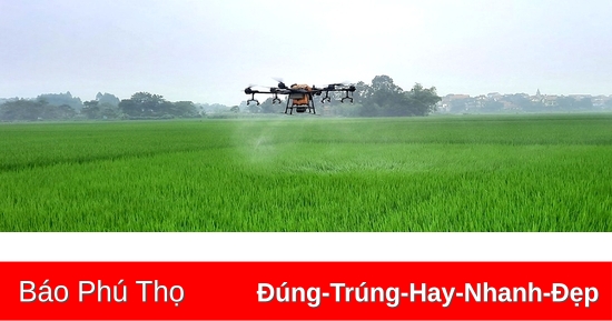 Hướng tới nền nông nghiệp xanh, bền vững