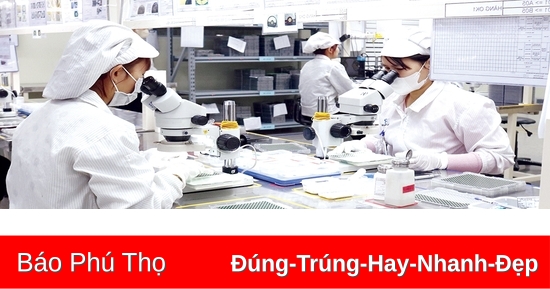 Khai thác hiệu quả sự phục hồi thị trường xuất khẩu