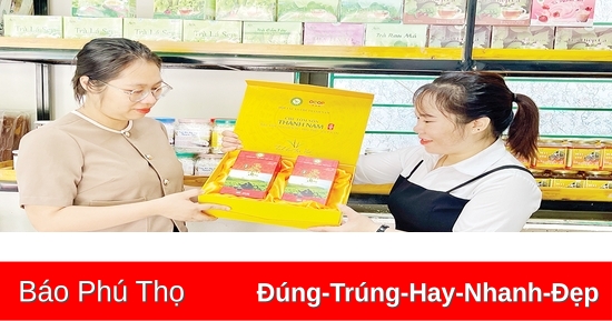 Nâng cao hiệu quả kinh tế tập thể