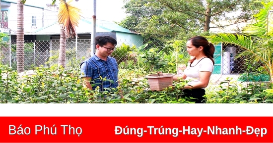 Nỗ lực thoát nghèo