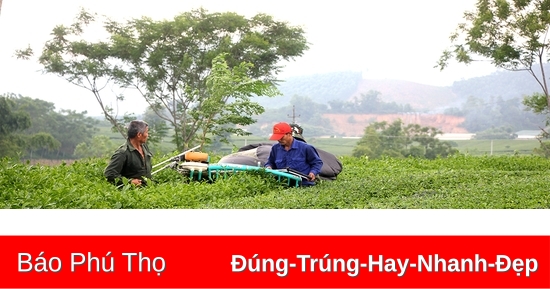 Nỗ lực xây dựng nông thôn mới nâng cao