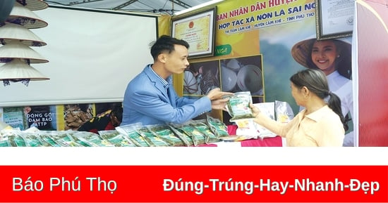 Tạo tiền đề cho kinh tế tập thể phát triển