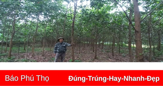 Tập trung giảm nghèo bền vững