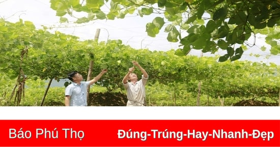 Tập trung phát triển các sản phẩm OCOP gắn với du lịch cộng đồng