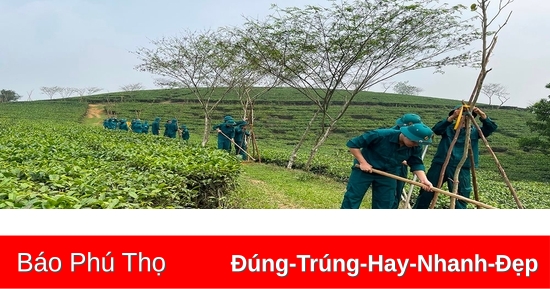 Xây dựng nông thôn mới nâng cao ở Trung Giáp