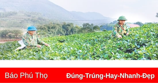 phát triển nông nghiệp bền vững