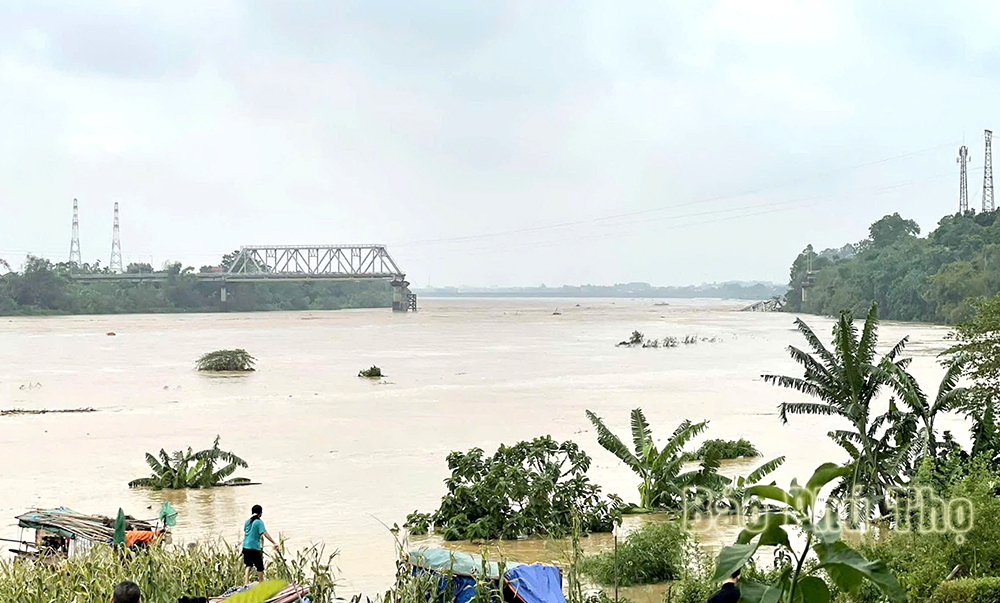 สะพานฟองจาวพังถล่มเหนือแม่น้ำแดง