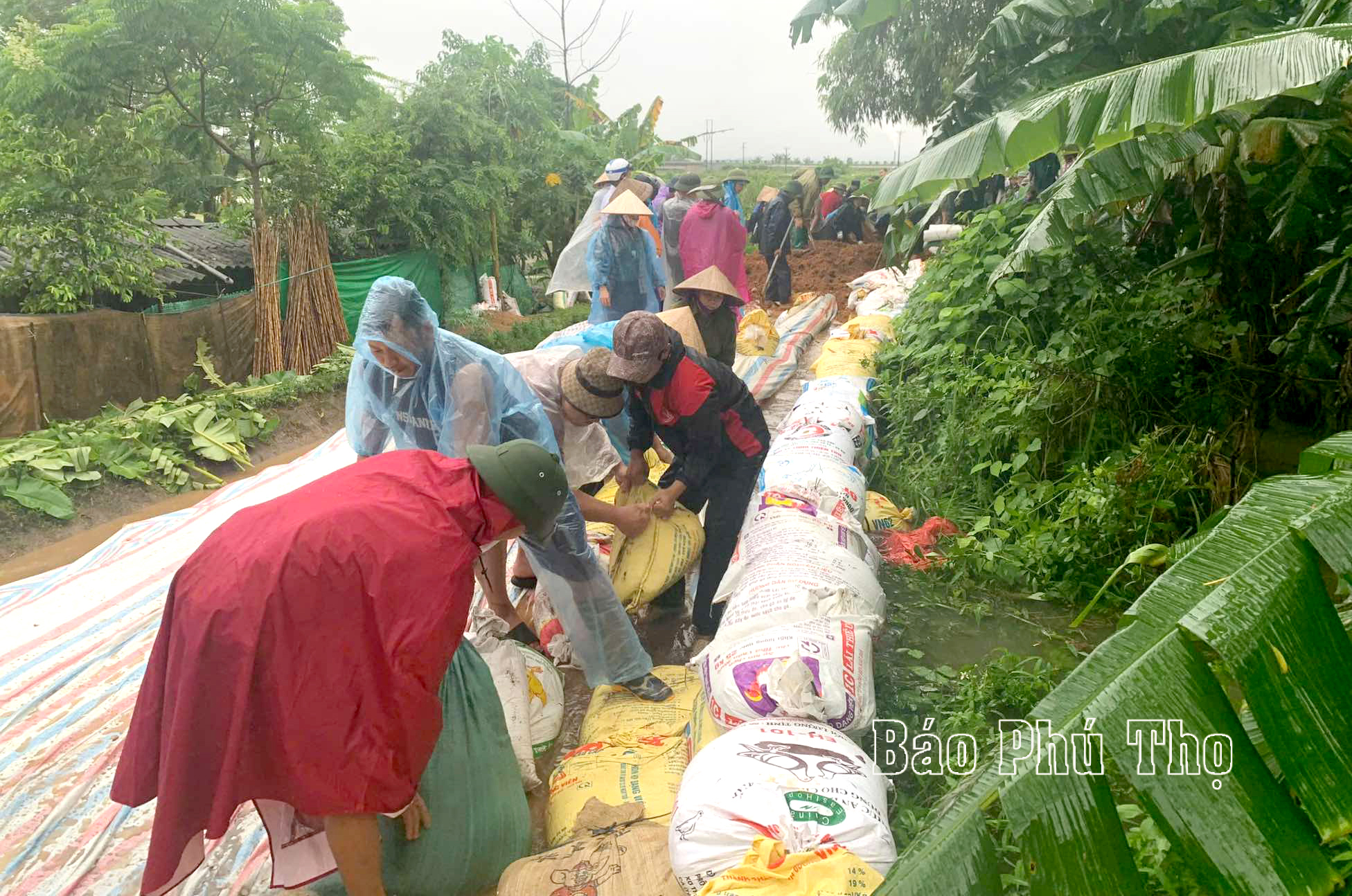 El Secretario Provincial del Partido y el Presidente del Comité Popular Provincial dirigieron directamente la prevención de inundaciones en Cam Khe y Ha Hoa