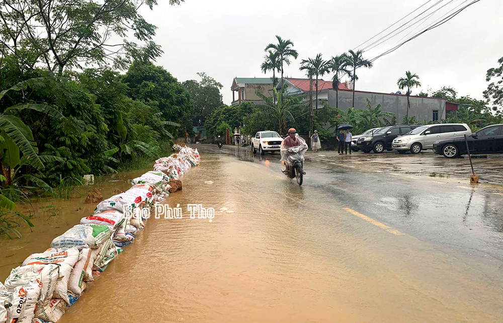 El Secretario Provincial del Partido y el Presidente del Comité Popular Provincial dirigieron directamente la prevención de inundaciones en Cam Khe y Ha Hoa