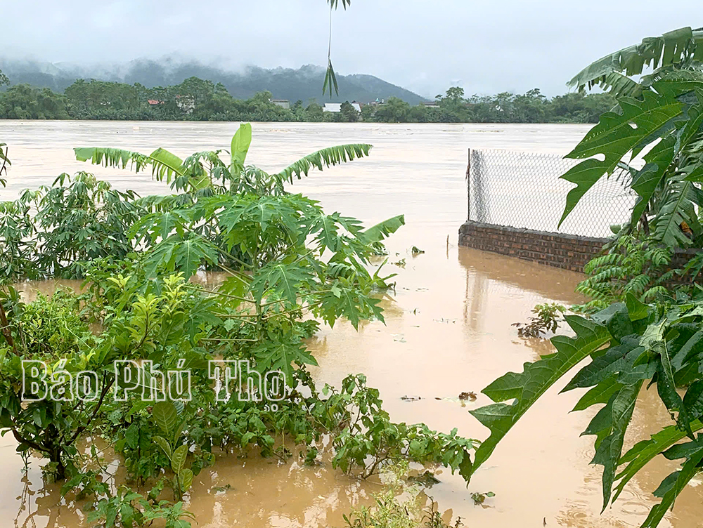 El Secretario Provincial del Partido y el Presidente del Comité Popular Provincial dirigieron directamente la prevención de inundaciones en Cam Khe y Ha Hoa