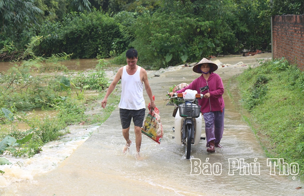 Hàng chục hộ dân xã Sông Lô phải di dời tài sản do nước sông Lô dâng cao