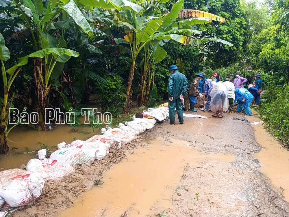 Huyện Cẩm Khê tập trung khắc phục hậu quả cơn bão số 3