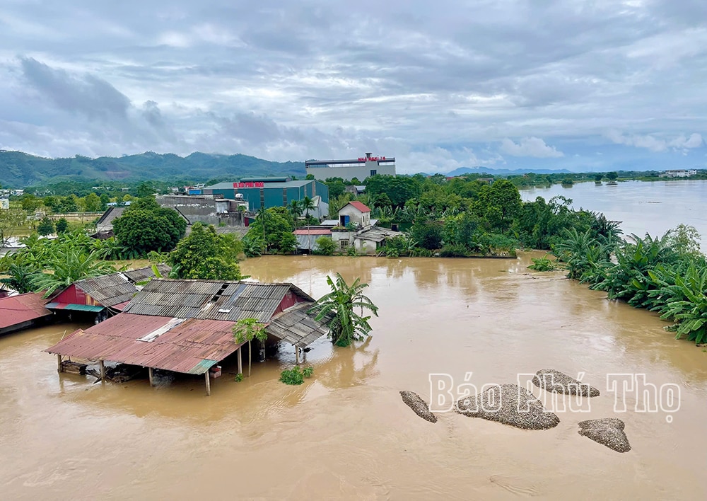 Hạ Hoà: Nhiều địa phương ngập trong biển nước