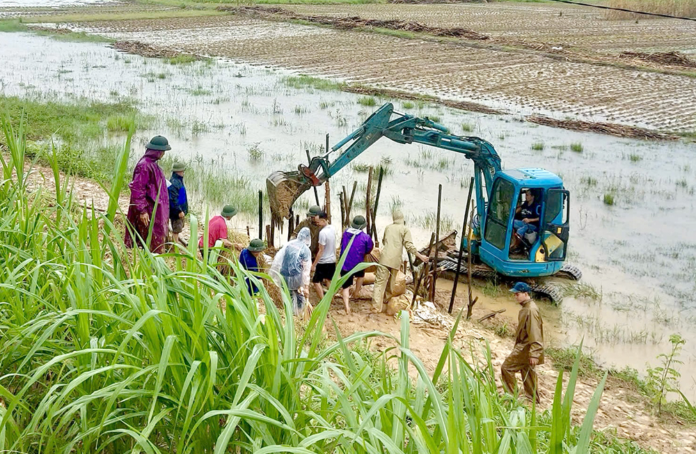 Phù Ninh: Gia cố đảm bảo an toàn các công trình thủy lợi, đê điều