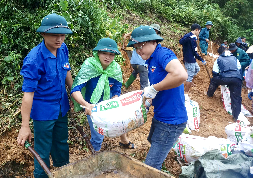 Phù Ninh: Gia cố đảm bảo an toàn các công trình thủy lợi, đê điều