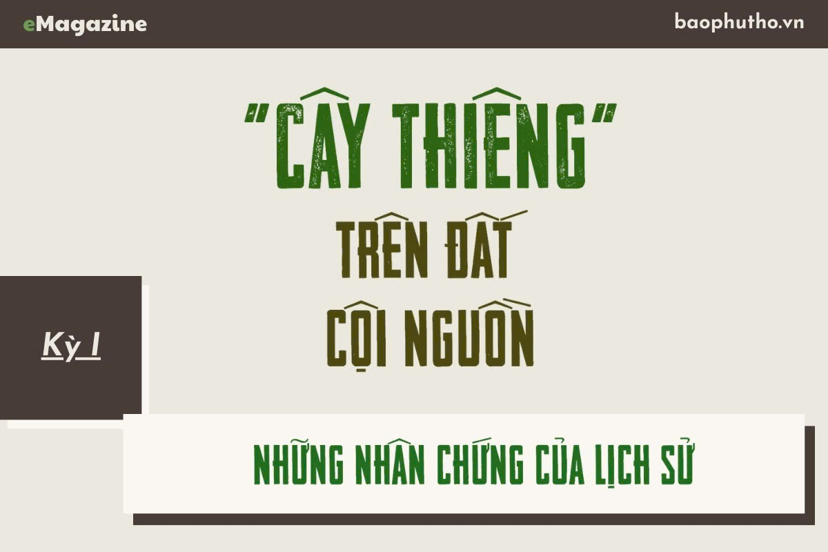 “Cây thiêng” trên đất cội nguồn Kỳ I: Những nhân chứng của lịch sử