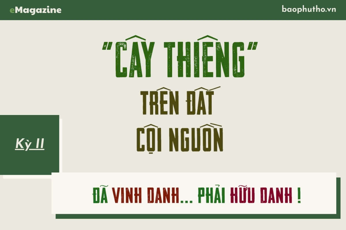 Kỳ II: Đã vinh danh phải... hữu danh!