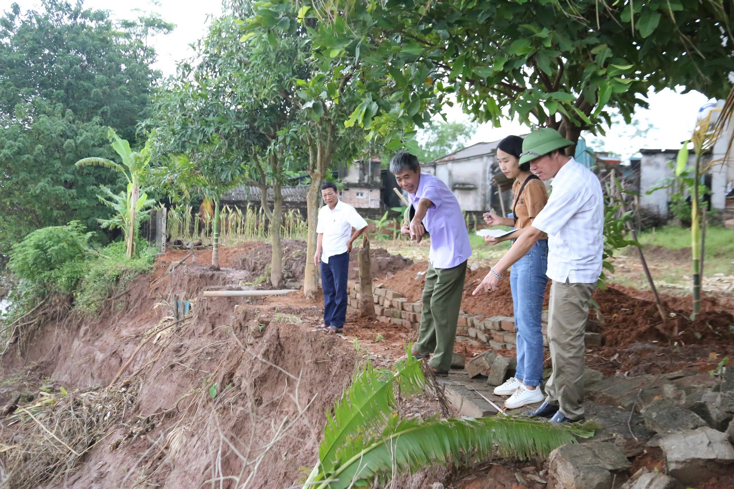 Cần khẩn trương có các biện pháp khắc phục sạt lở bờ hữu sông Thao