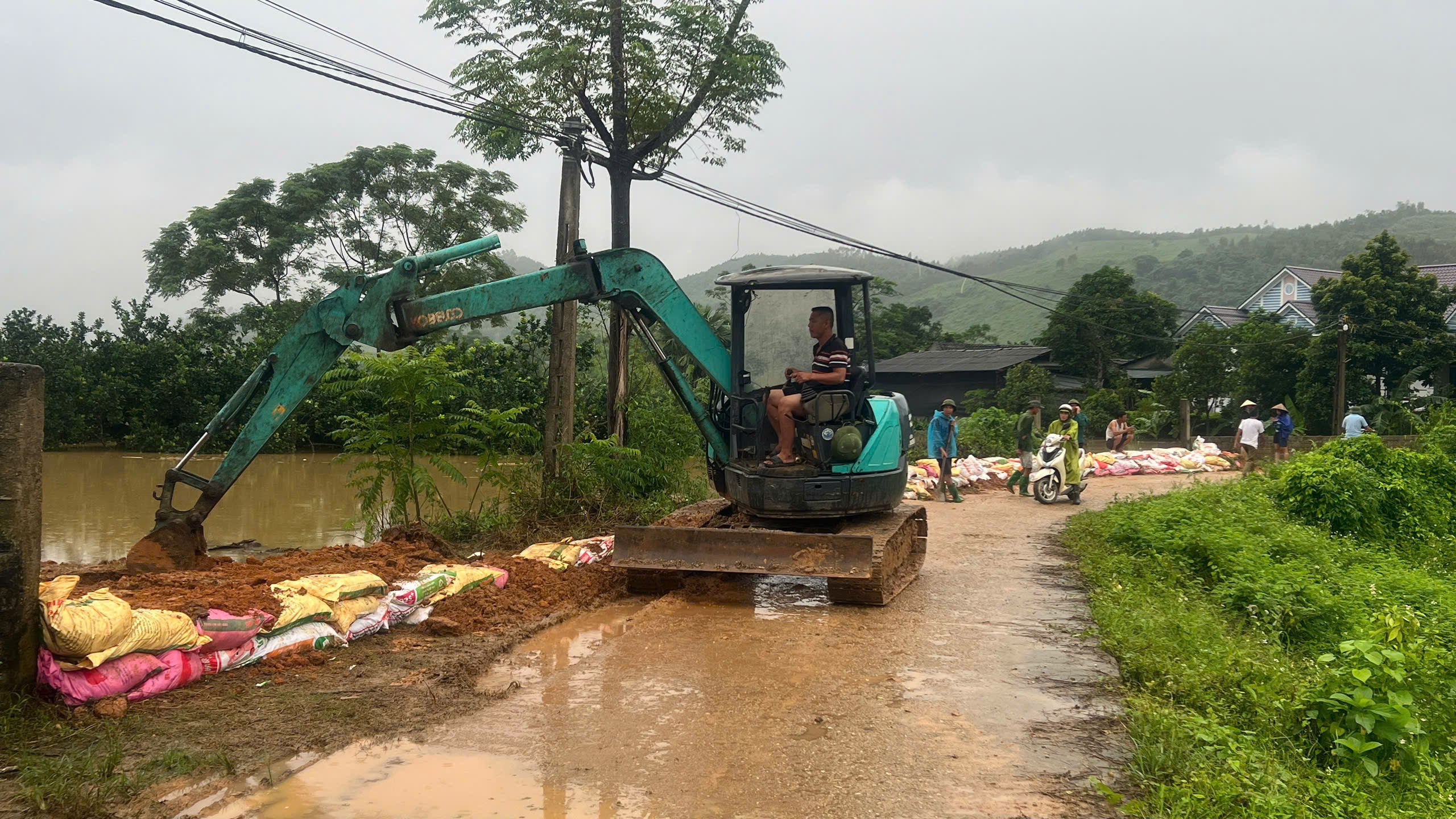 Khẩn trương đắp đất chống tràn vào khu Hố Xanh (xã Hợp Nhất, huyện Đoan Hùng) sau vỡ đê Sông Lô