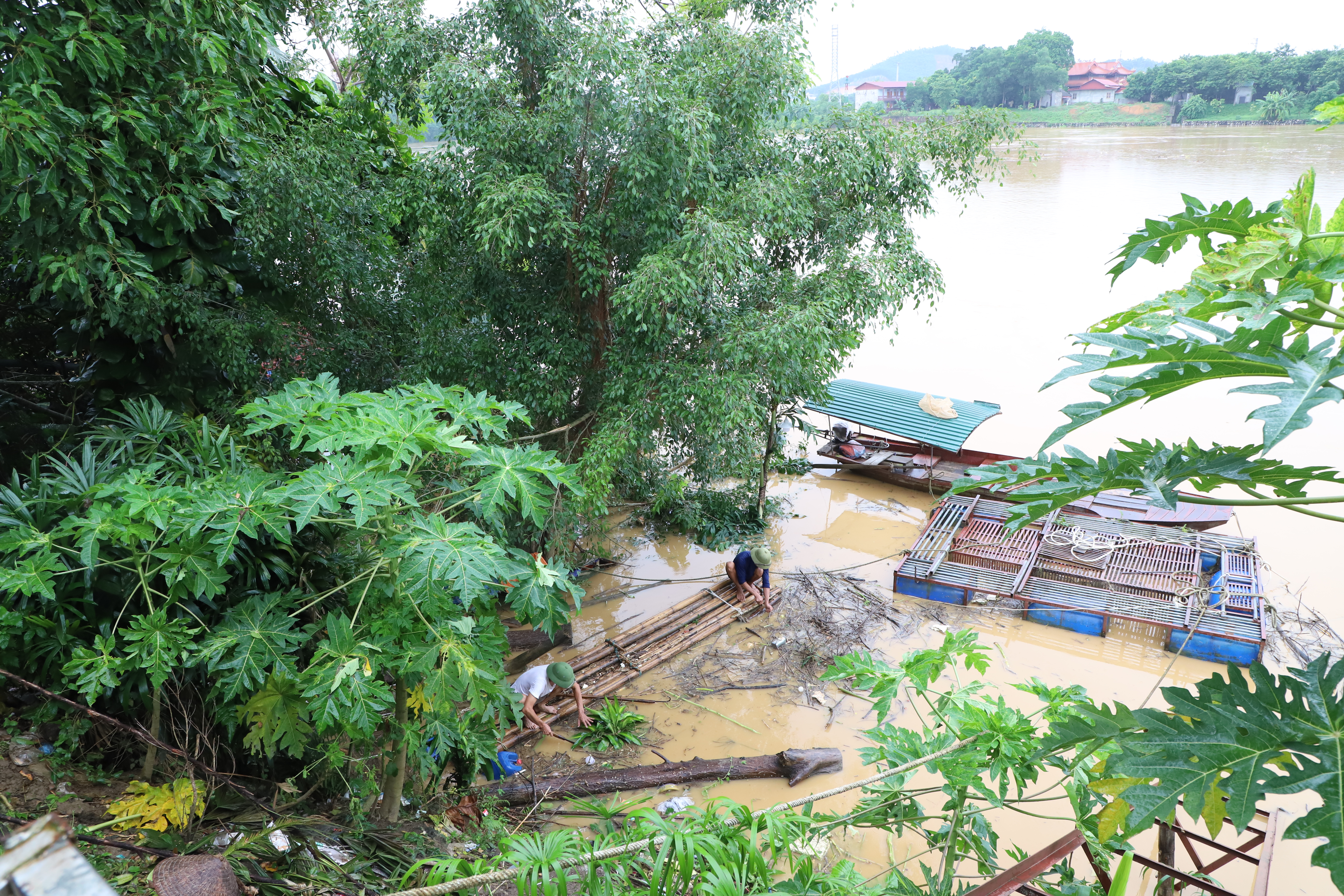 Khẩn trương đắp đất chống tràn vào khu Hố Xanh (xã Hợp Nhất, huyện Đoan Hùng) sau vỡ đê Sông Lô