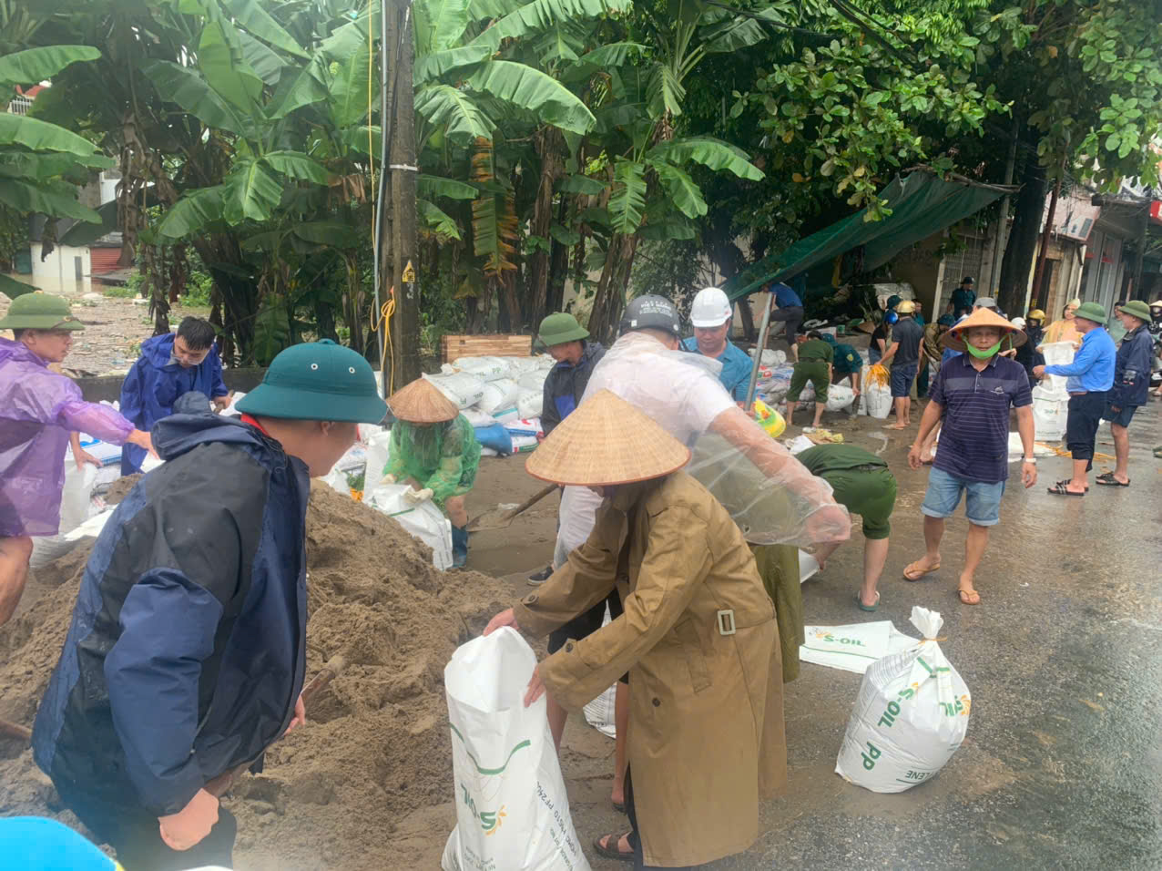 Đoan Hùng: Huy động lực lượng tập trung đắp đập chắn lũ tại thị trấn Đoan Hùng và xã Vụ Quang