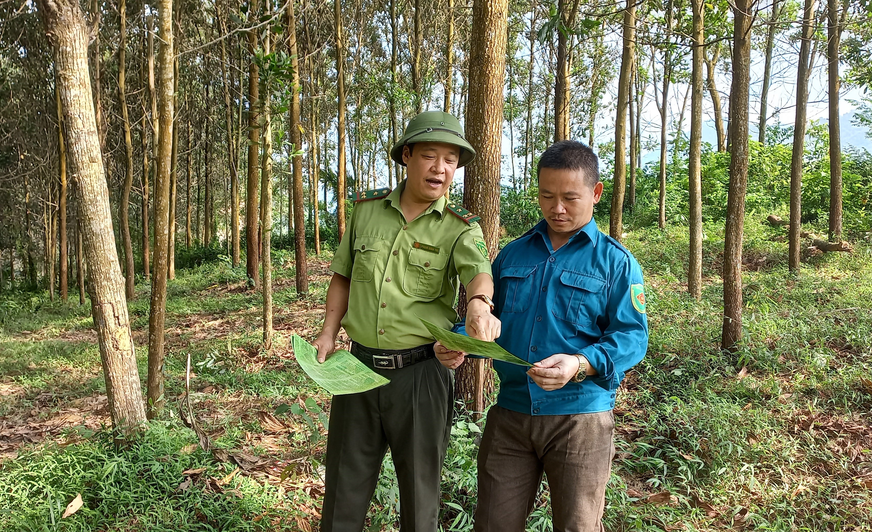 Nachhaltige Waldbewirtschaftung