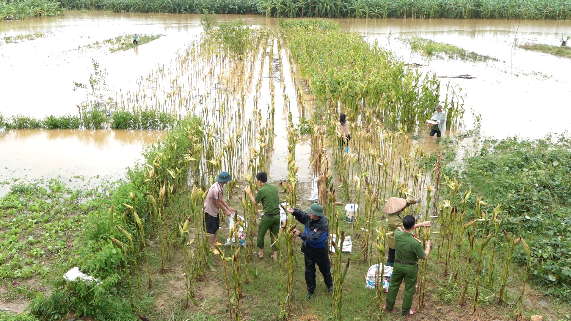 Huy động lực lượng giúp dân ứng phó với ngập lụt ở Hạ Hòa