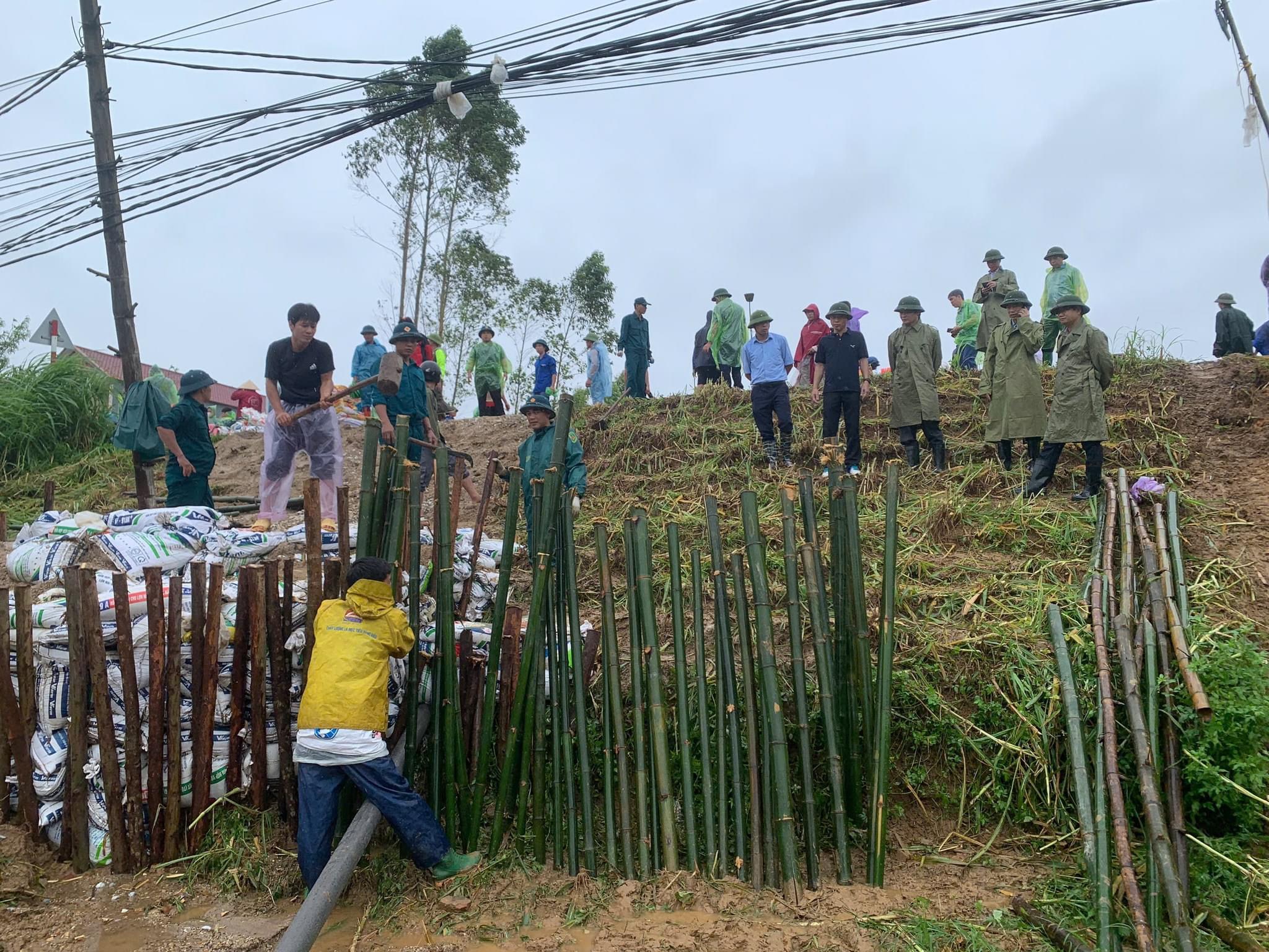 Phù Ninh tập trung chống tràn, xử lý mạch sủi đê