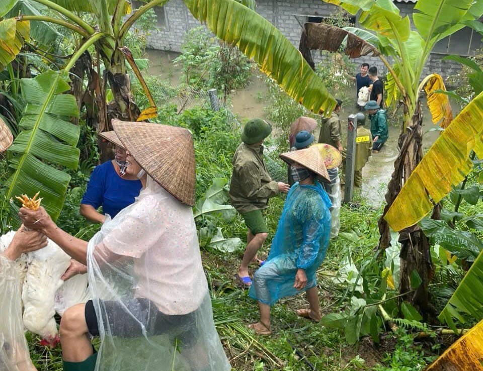 Huyện Đoan Hùng: Hàng chục hộ dân phải di dời do nước lũ